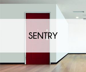 Sentry header image 2