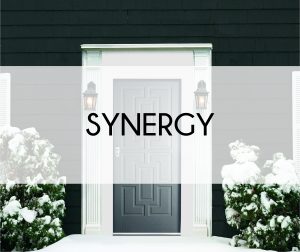 Synergy header image 2
